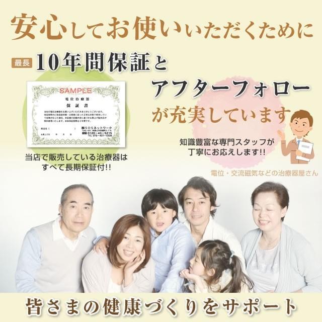 パルストレーナー 3DEMS 中古 特価ランク 2年保証 株式会社ホーマー