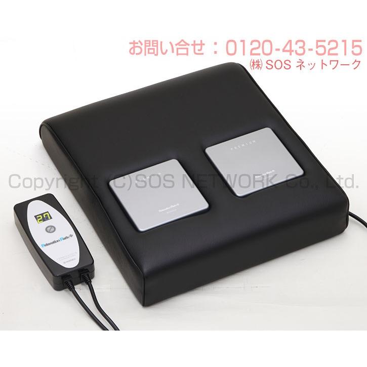 リラクゼーションパーク PREMIUM シートクッション ミニ 中古 AAランク