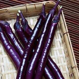 茄子の種 紫剣（ヒモナス） 小袋（18粒） ( 野菜の種 ) : 菜園くらぶ