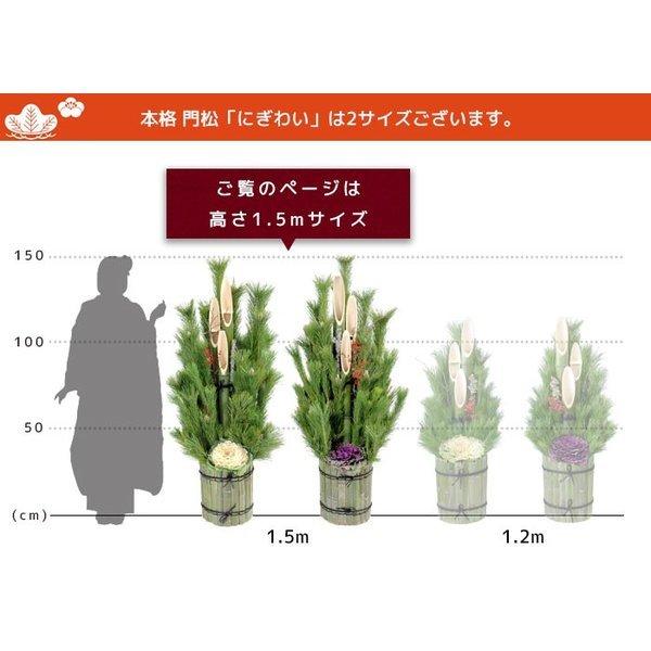 本格 門松 「にぎわい」 1.5m （関西向け） 一対2台 本格派 150cm 屋外