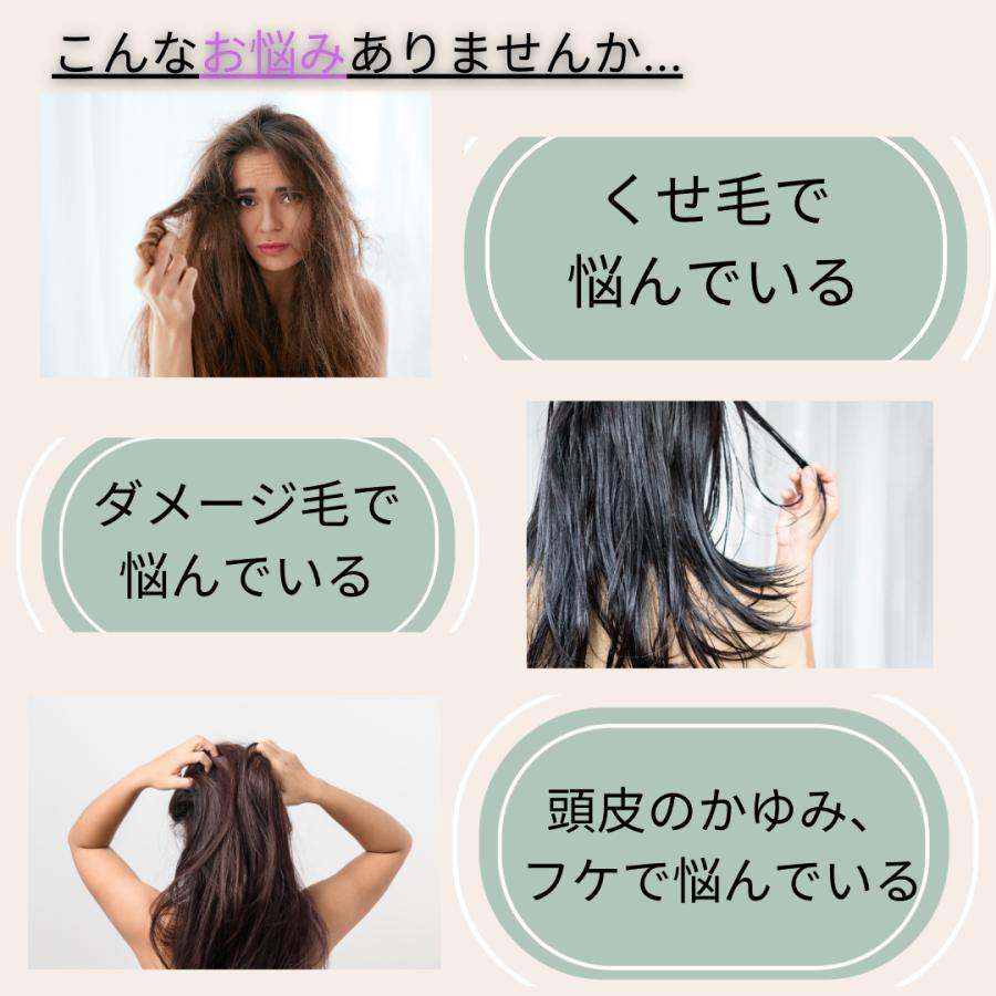 MILBON（ミルボン） グローバル ディフリッジング ( アンチフリッズ