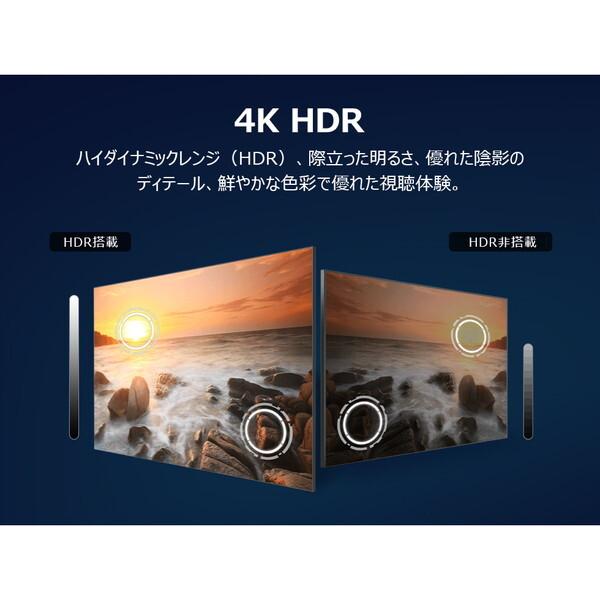 TCL テレビ 43型 液晶テレビ TCL 43インチ TV 43P61K P61Kシリーズ 43V