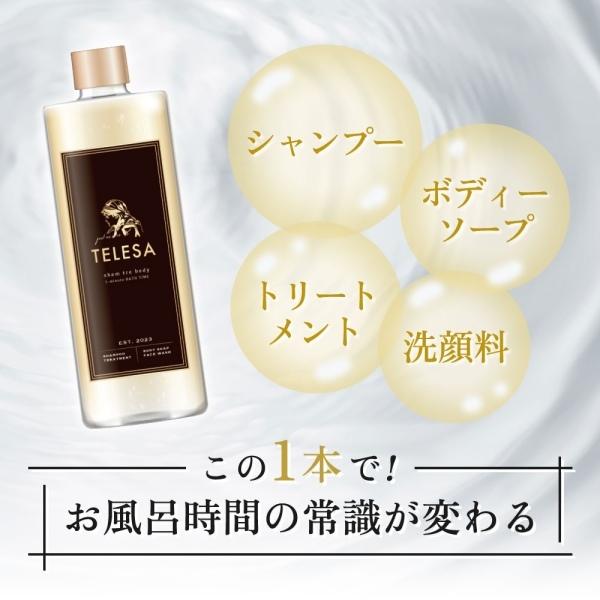 TELESA シャントリボディ 400ml シャンプー トリートメント ボディ