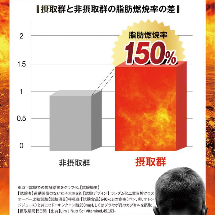 さくらの森 ダイエットサプリ ブラックジンジャー 脂肪燃焼