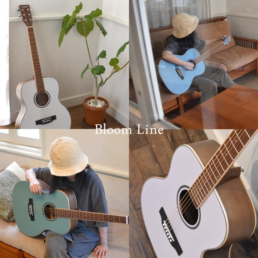 アコースティックギター W-15/F-15 ソフトケース付き〔大型荷物