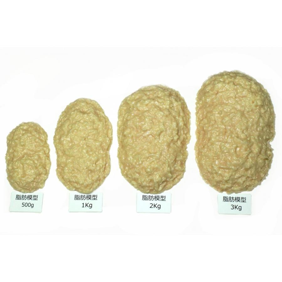 実物重量 脂肪サンプル 3kg 食品サンプル 脂肪模型 ダイエット