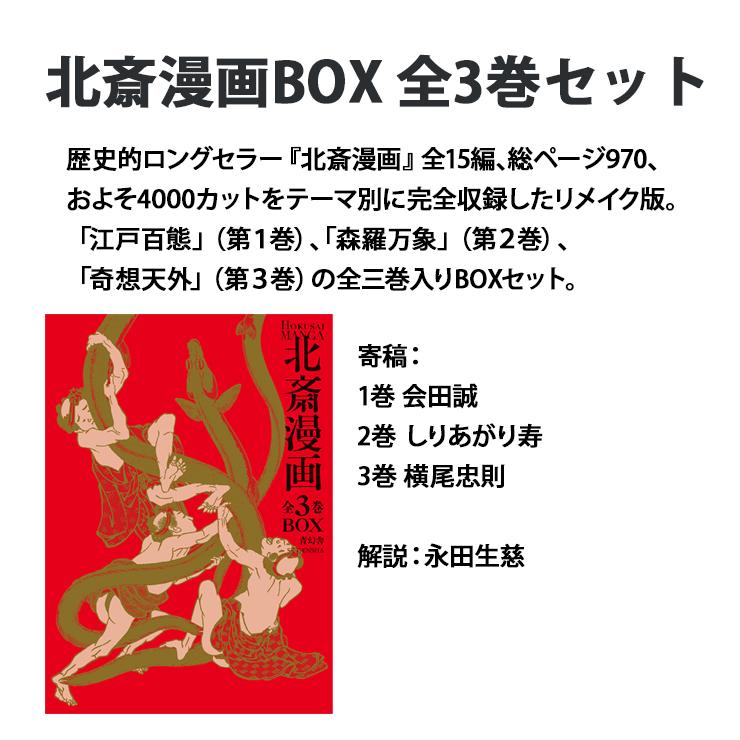 青幻舎 ビジュアル文庫 北斎漫画BOX 全三巻セット 9784861523106