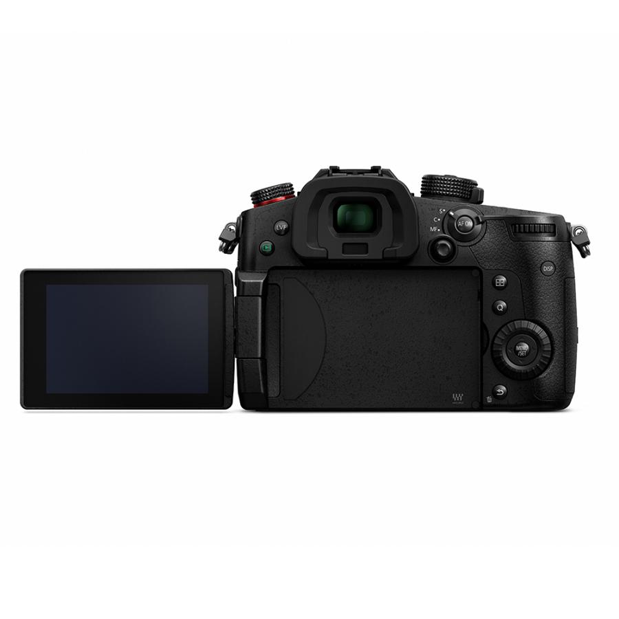 LUMIX パナソニック(Panasonic) LUMIX(ルミックス) ミラーレス一眼