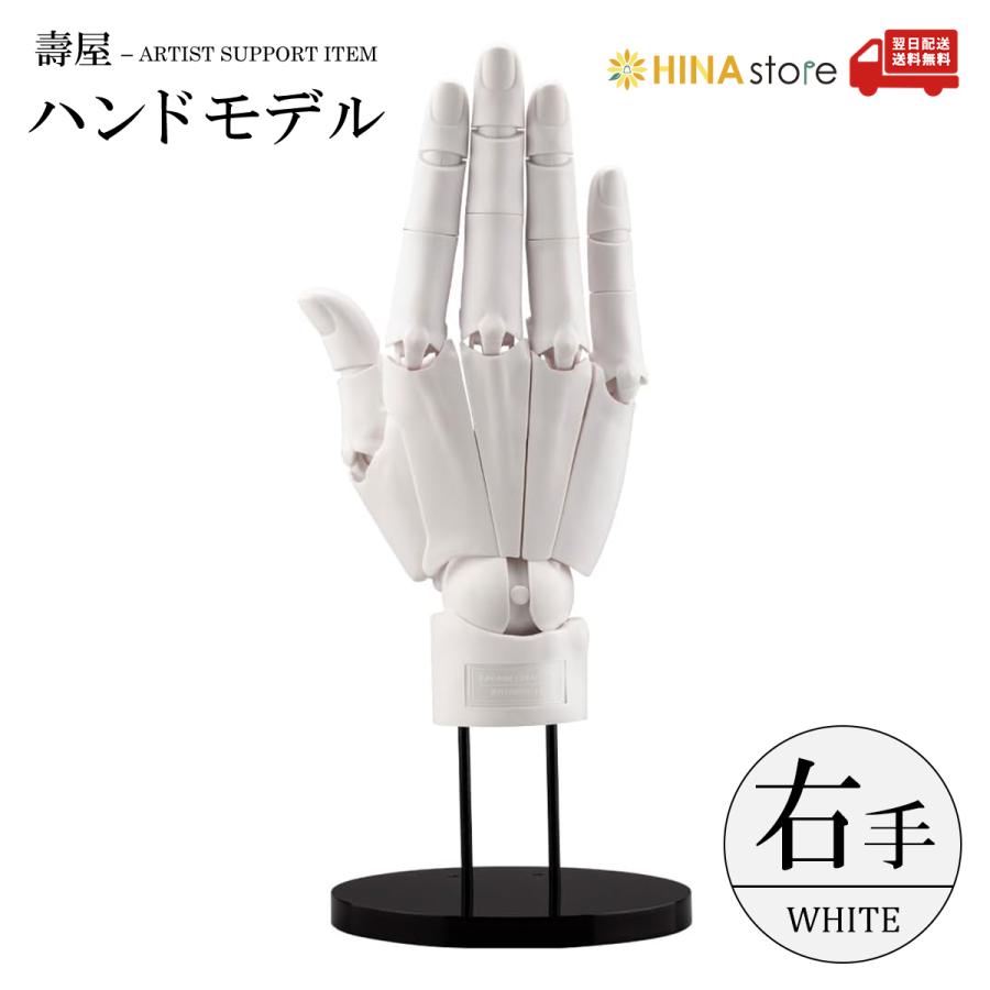 コトブキヤ（KOTOBUKIYA） 「R / WHITE」 ハンドモデル 右手 ホワイト