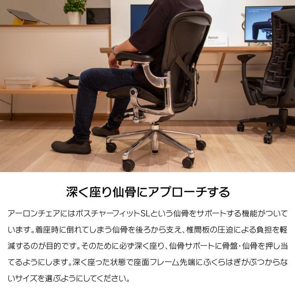 Herman Miller（ハーマンミラー） 即納在庫有 アーロンチェア リ