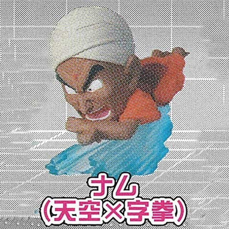 アニメヒーローズドラゴンボール極技版 Ver.01ナム(天空×字拳