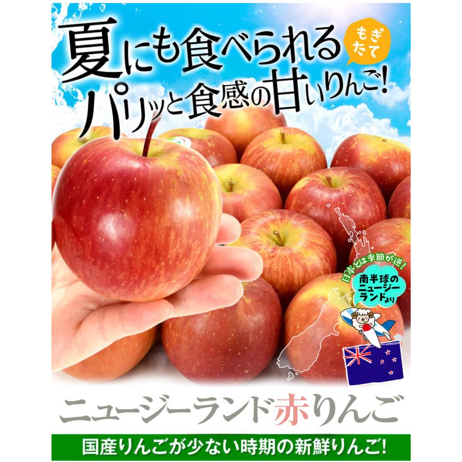りんご 2kg ニュージーランド産りんご おまかせ 送料無料 食品 : 食