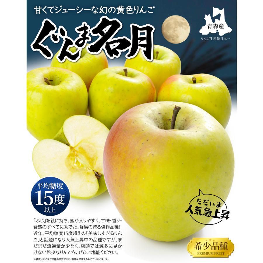 りんご 10kg ぐんま名月 青森産 ご家庭用 送料無料 食品 : 食みらい