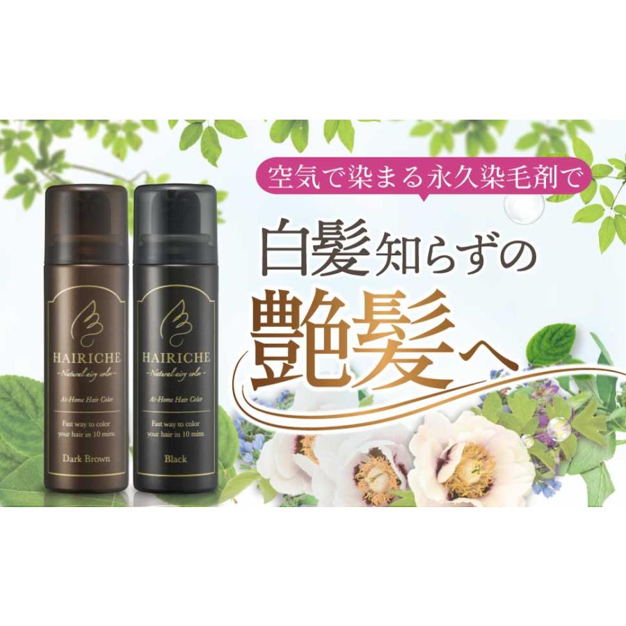 ヘアリシェ ナチュラルエアリーカラー ブラック HAIRICHE 公式
