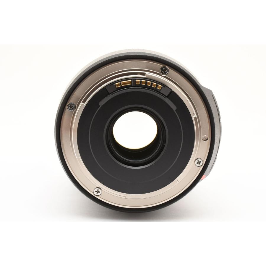 TAMRON（タムロン） Tamron B016 16-300mm f/3.5-6.3 Di II VC PZD