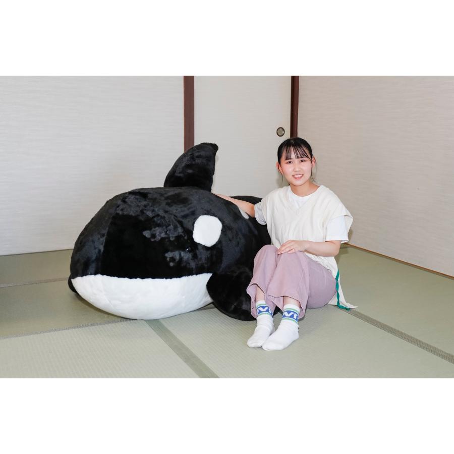すてれっぱつシャチぬいぐるみ : 鴨川シーワールドオルカショップ