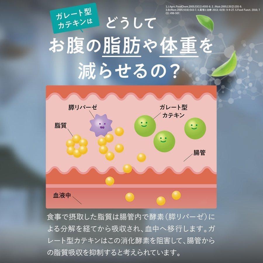 カテキン減脂粒 62粒 内臓脂肪を減らす EGCG サプリメント : スマート