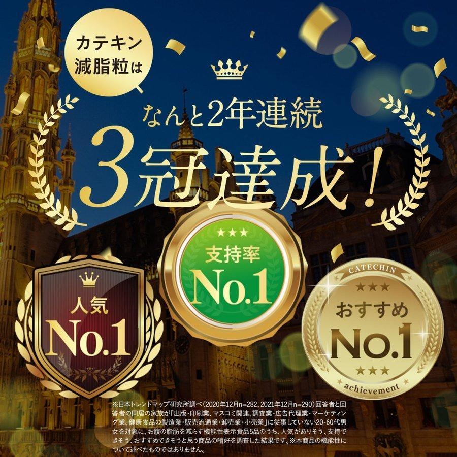 カテキン減脂粒 62粒 内臓脂肪を減らす EGCG サプリメント : スマート
