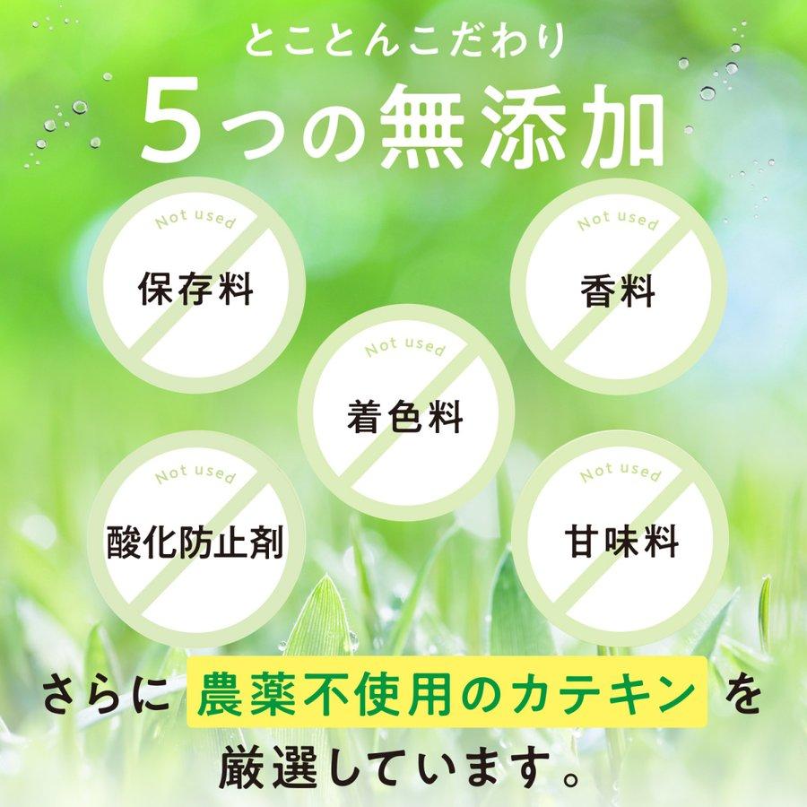カテキン減脂粒 62粒 内臓脂肪を減らす EGCG サプリメント : スマート