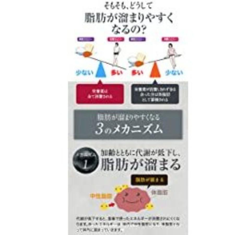 シボラナイト ゴールド GOLD 90粒 シボラナイトゴールド : スマート