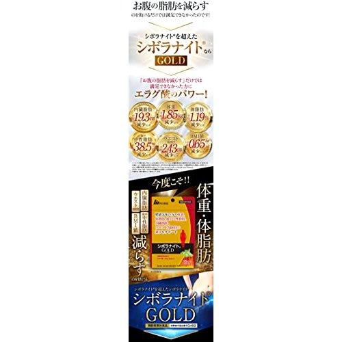 シボラナイト ゴールド GOLD 90粒 シボラナイトゴールド : スマート