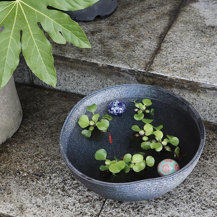 信楽焼 メダカ鉢 おしゃれ 水鉢 睡蓮鉢 陶器 めだか 金魚鉢 青 メダカ