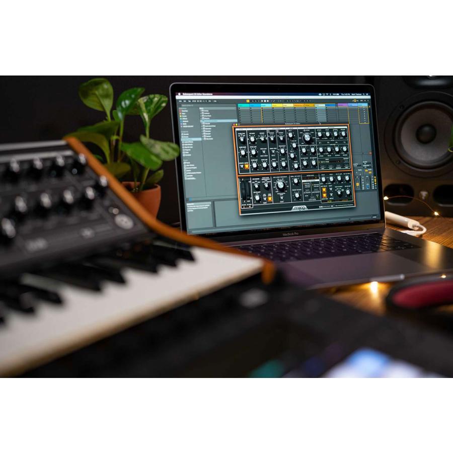 MOOG（モーグ） Subsequent 25 パラフォニックアナログシンセサイザー