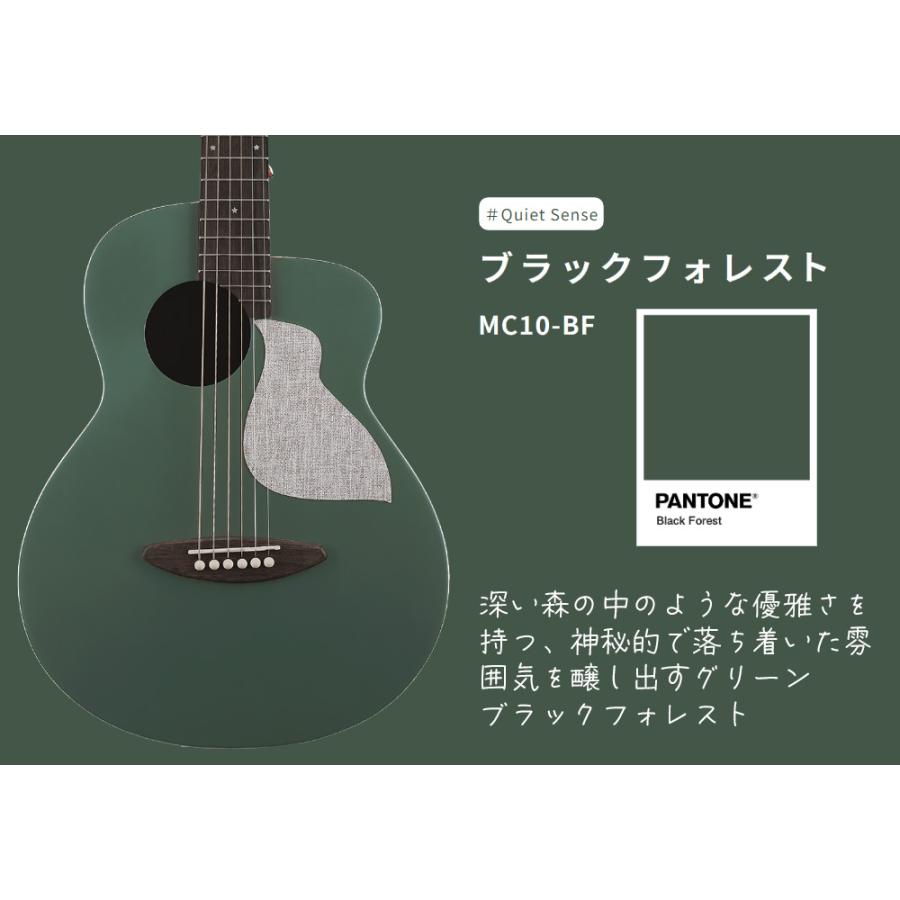 aNueNue アヌエヌエ aNN-MC10 アコースティックギター ミニギター