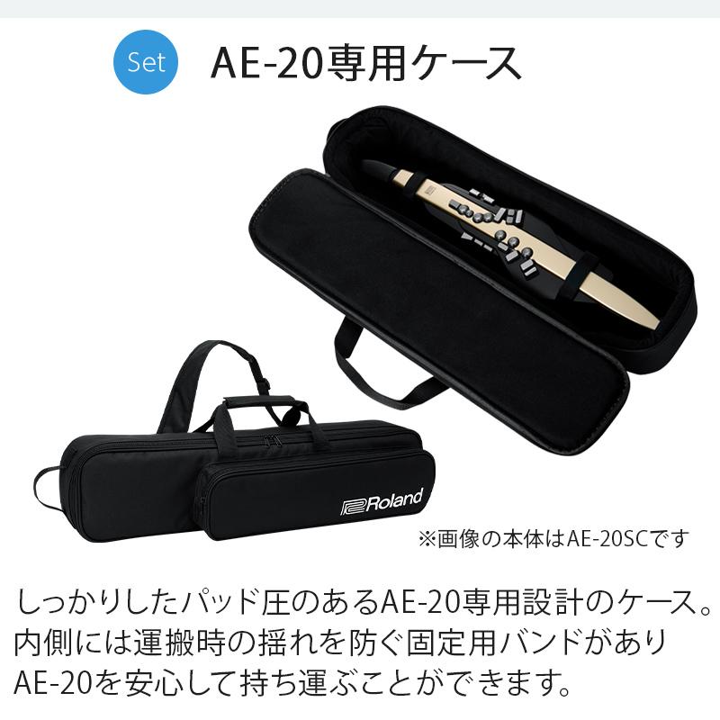 ローランド（Roland） 教則動画付き AE-20SC 限定カラー エアロフォン