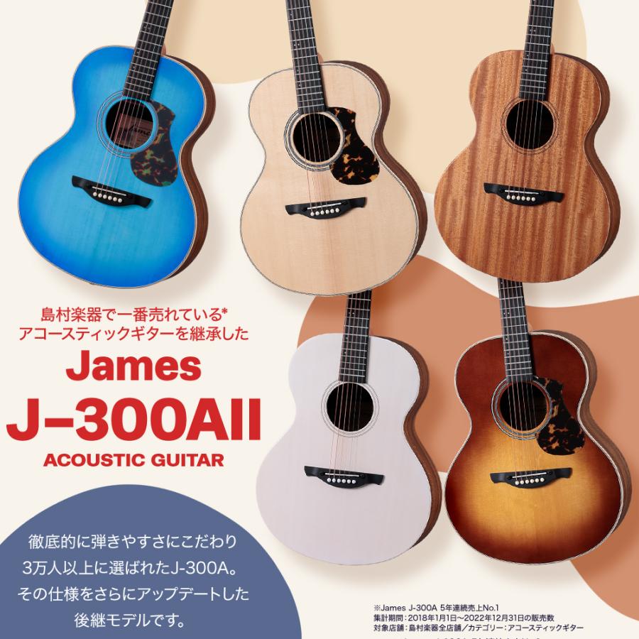 ジェームス（James） J-300AII アコースティックギター トップ単板