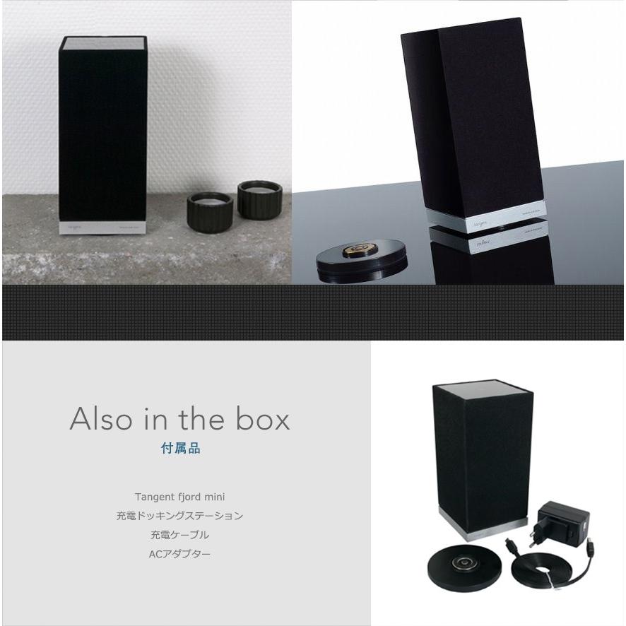 Tangent タンジェント Fjord Mini フィヨルド ミニ ワイヤレス