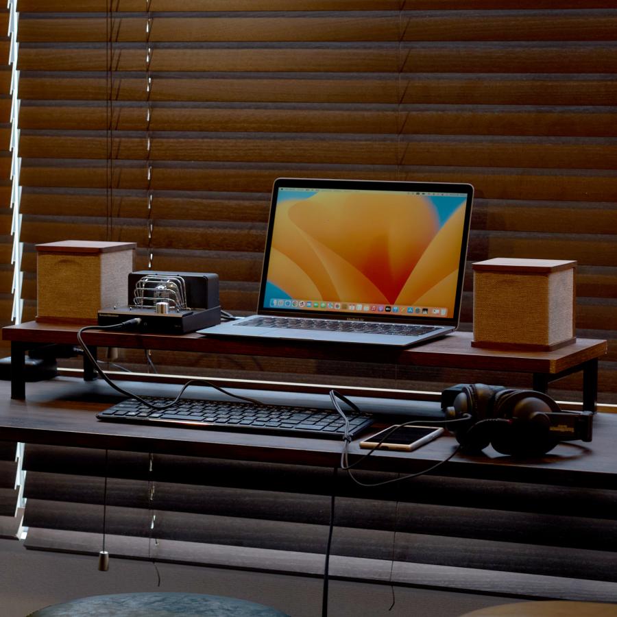 SOUNDWARRIOR SWL-T01SET1-SD 小型ハイブリッド真空管アンプ＋キューブ