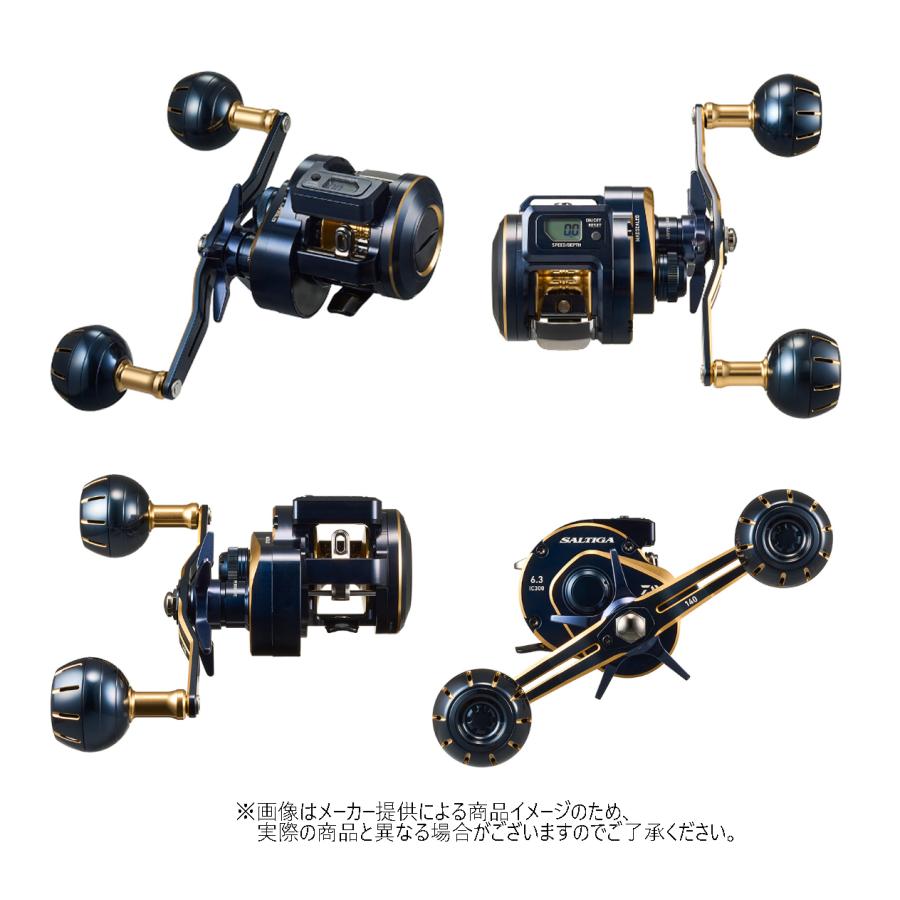 DAIWA（ダイワ） '21 SALTIGA IC(ソルティガ IC) 300-DH (右巻き