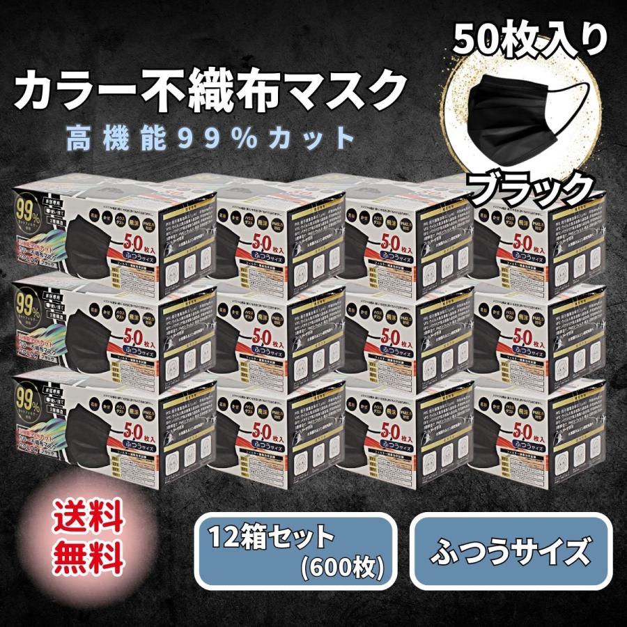ヒロ・コーポレーション 黒マスク 不織布 50枚 ブラック カラー 12箱