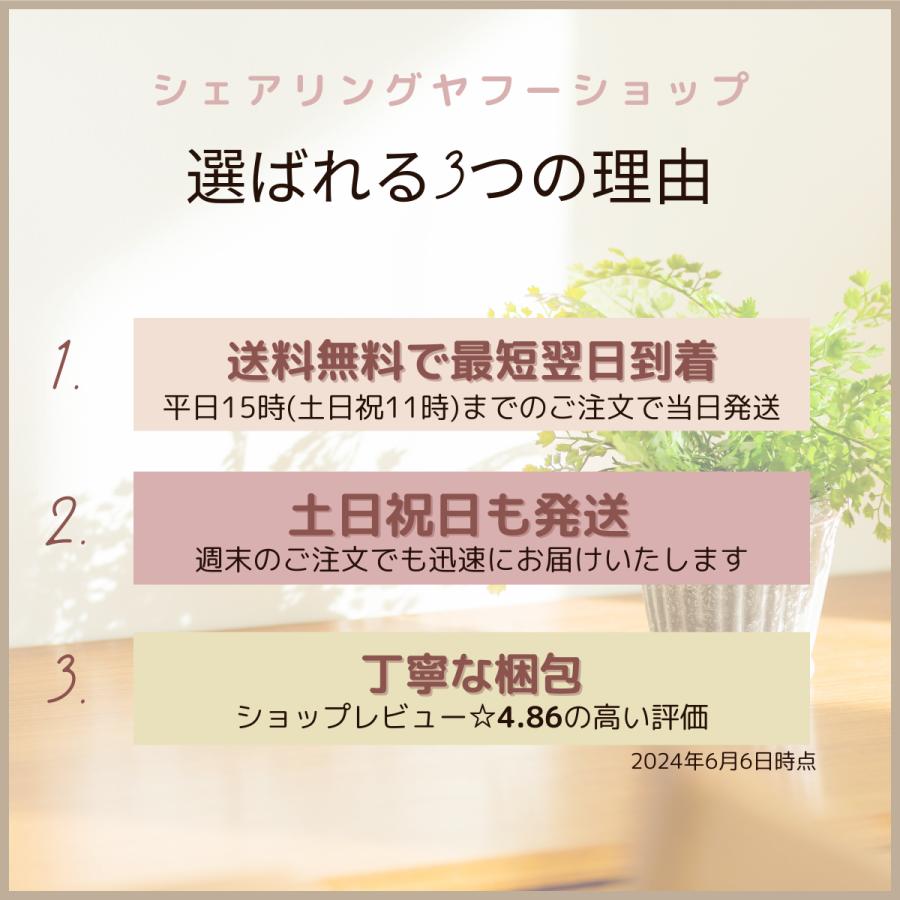 Nintendo Switch ニンテンドースイッチ switch 有機EL 新パッケージ