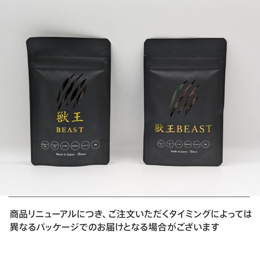 獣王beast 獣王 サプリ 獣王ビースト 亜鉛 メンズサプリ クラチャイ
