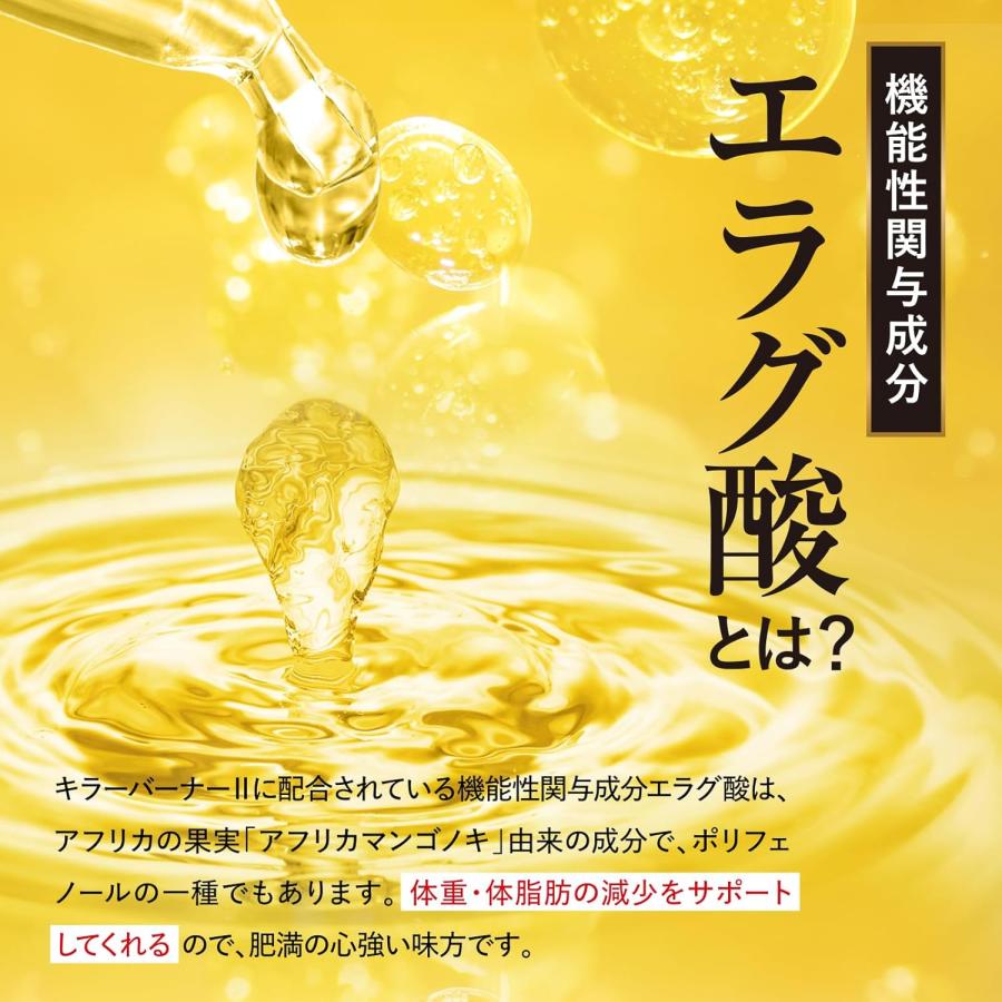 キラーバーナー2 45粒 サプリメント 送料無料 KILLER BURNER 2