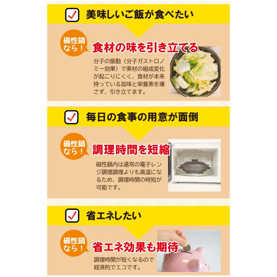 磁性鍋 鍋 電子レンジ 電子レンジ専用調理器 両手鍋 Lサイズ 1600cc 3