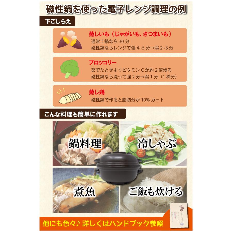 磁性鍋 鍋 電子レンジ 電子レンジ専用調理器 両手鍋 Lサイズ 1600cc 3