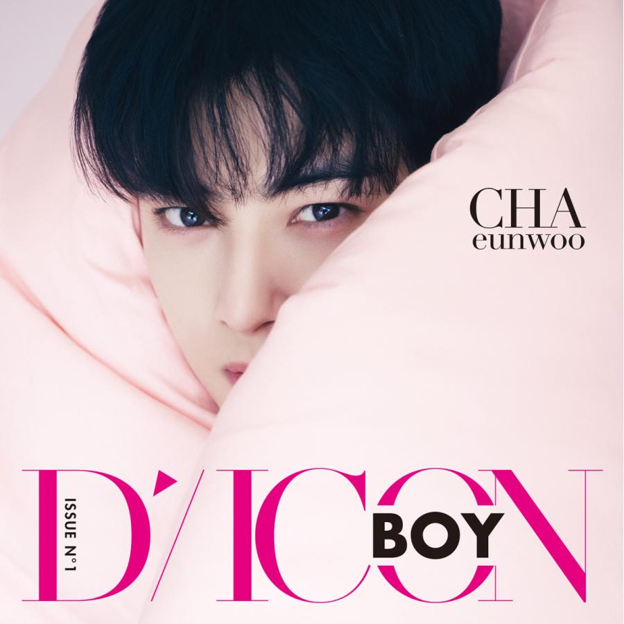 2022年 3月号 DICON BOY VOL.1 CHA EUNWOO HAPPY DAY D-ICON ASTRO
