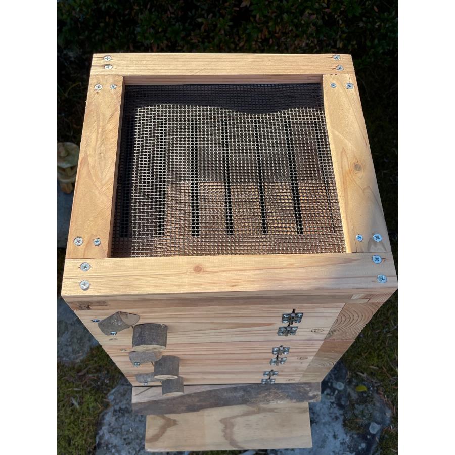 Freddo】日本みつばち用 飼育箱 重箱式巣箱 観察窓3窓付 三角バー