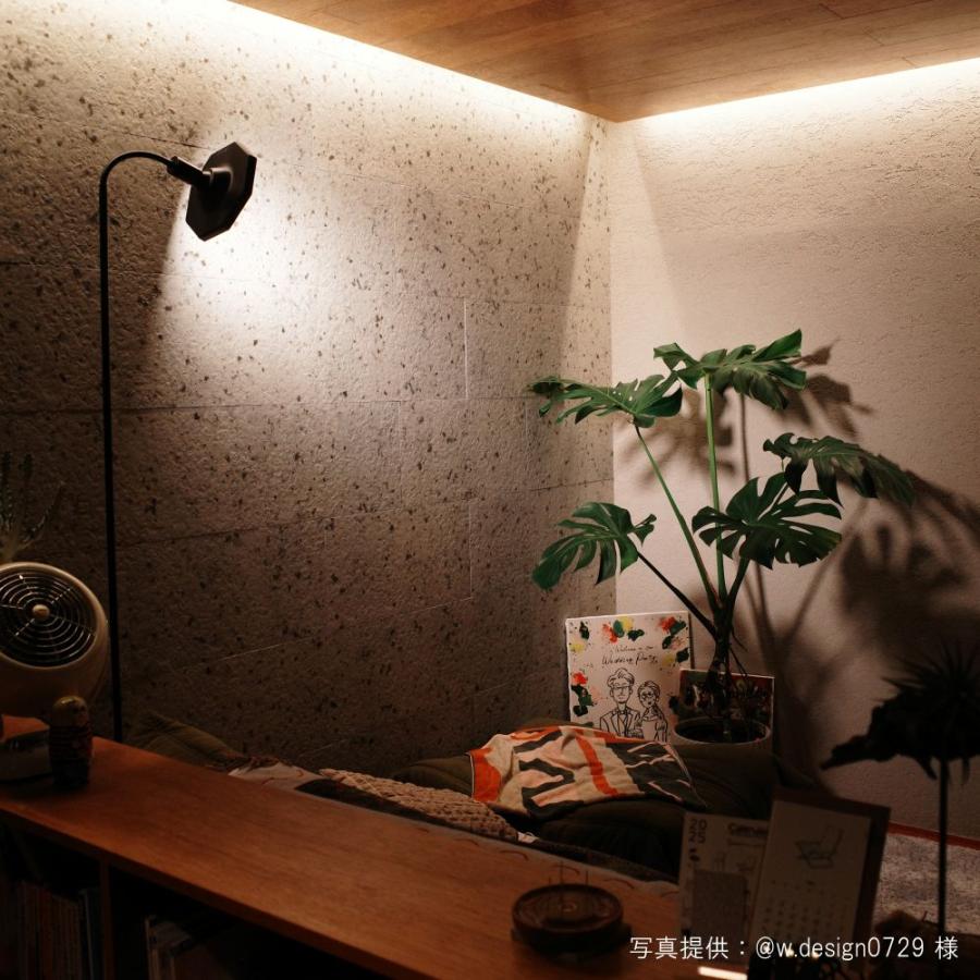 BARREL公式 植物育成 LEDパネルライト 【ROKI-Octagon-50W-BK/WH】ロキ