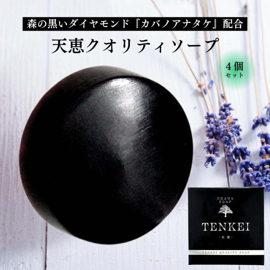 正規代理店】4個まとめ買い 天恵石鹸 天恵クオリティソープ 80g 天然の