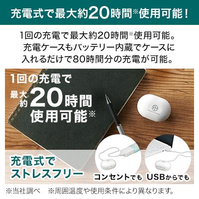 ショップジャパン（Shop Japan） 集音器 楽ちんヒアリング SA-01 送料