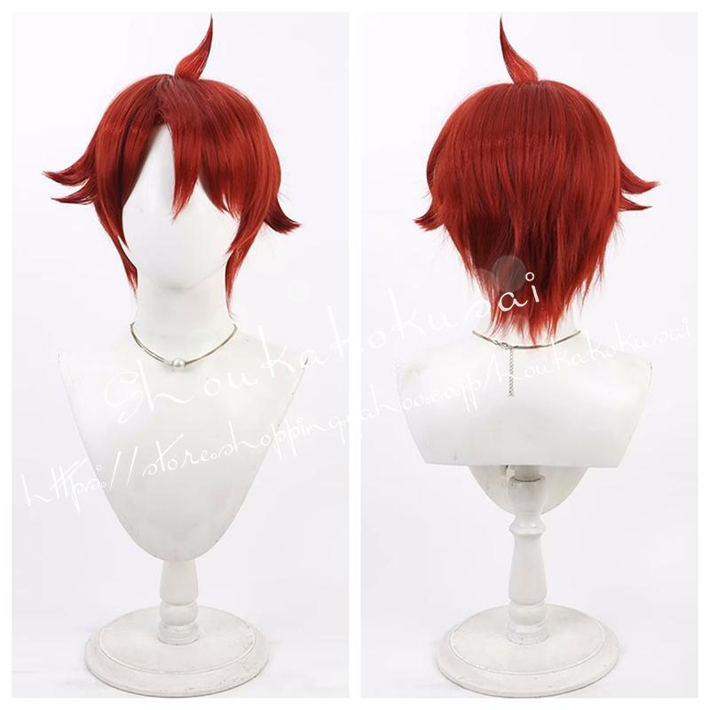 わんだふるぷりきゅあ 兎山悟 とやまさとる 変身した姿 コスプレ衣装