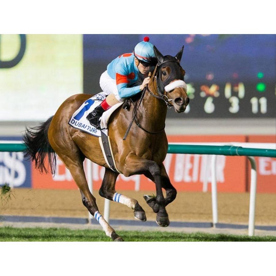 アーモンドアイ（9冠メモリアル） ぬいぐるみ Sサイズ アイドルホース