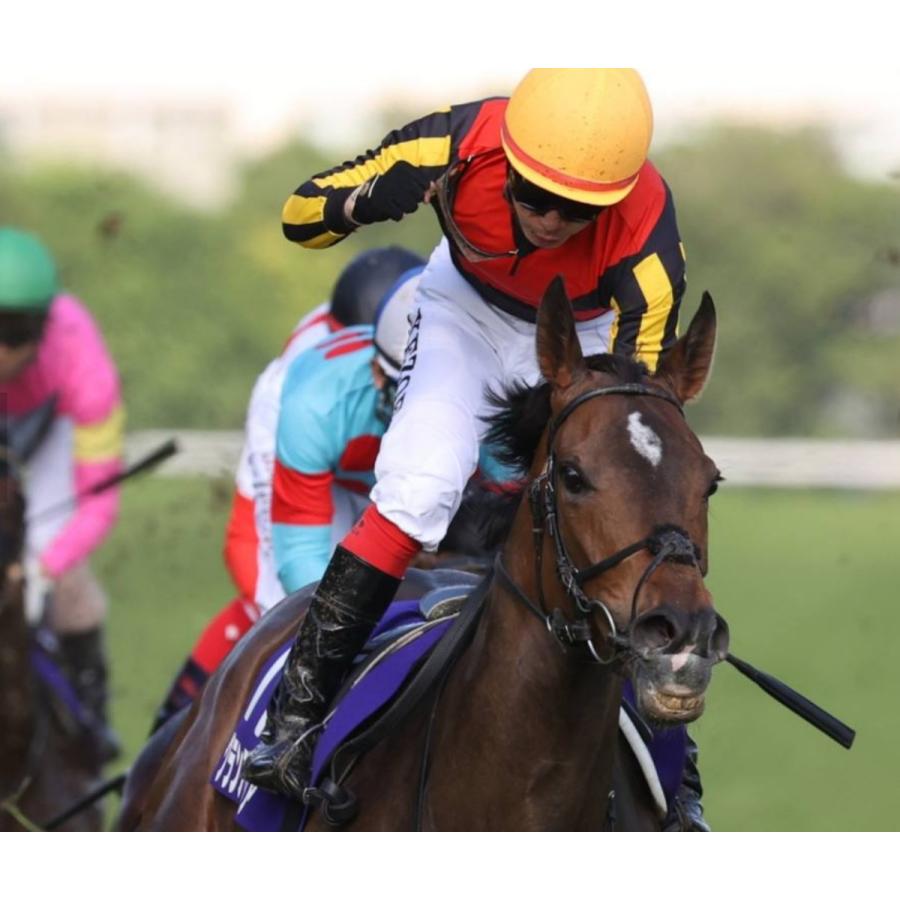 グランアレグリア ぬいぐるみ Sサイズ アイドルホース 第38回マイルCS