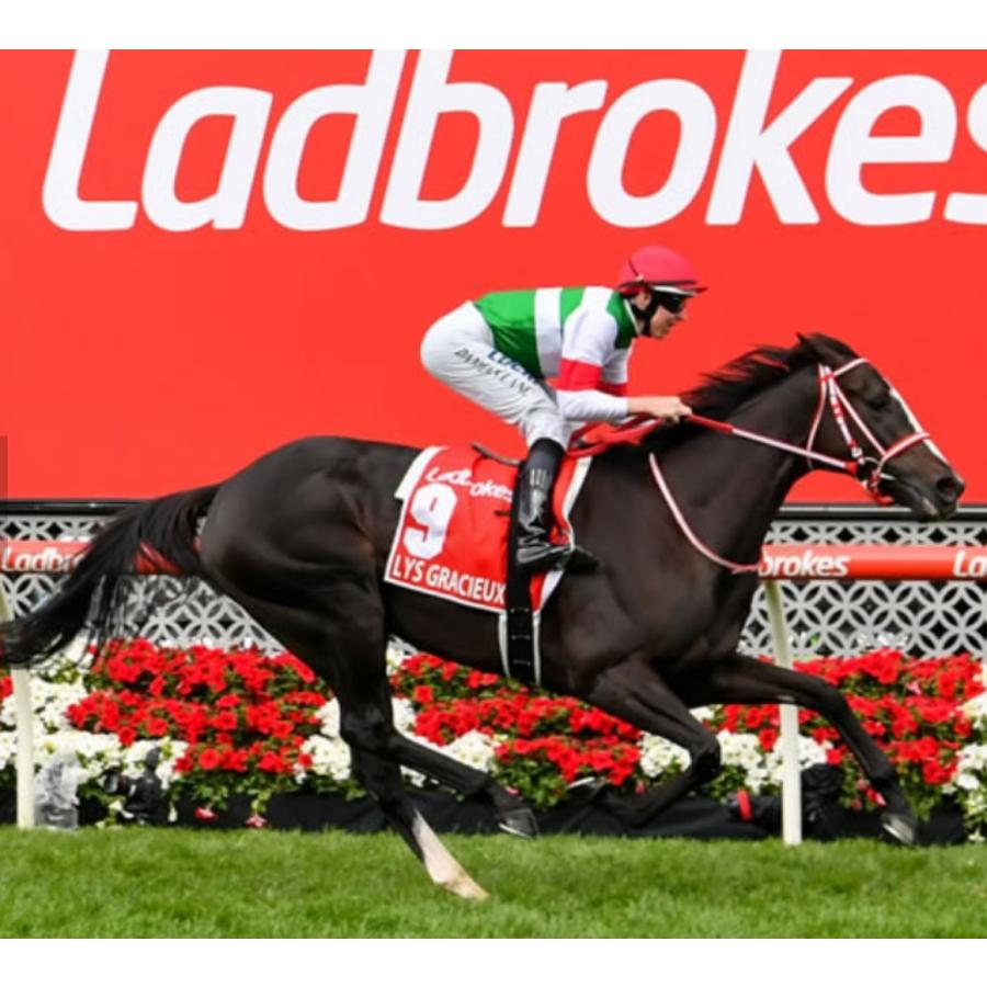 リスグラシュー ぬいぐるみ Sサイズ アイドルホース 第64回有馬記念