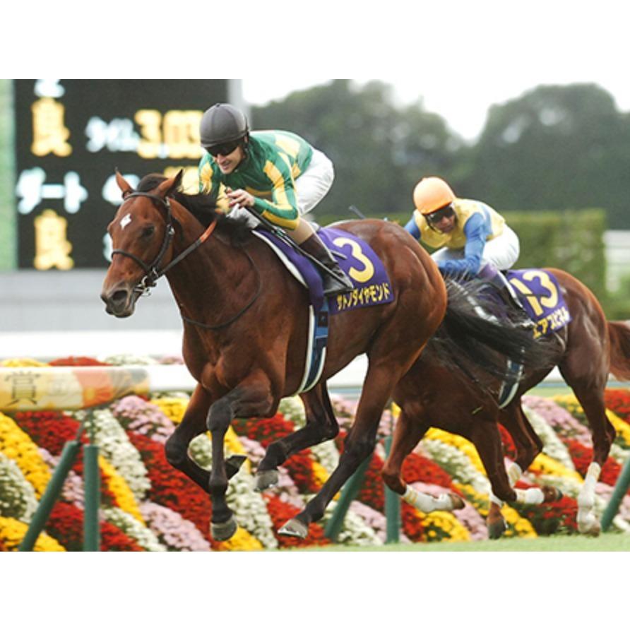 サトノダイヤモンド ぬいぐるみ Mサイズ 競馬 アイドルホース 第61回