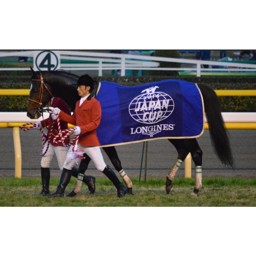 エピファネイア ぬいぐるみ Mサイズ アイドルホース 競馬 14年ジャパン